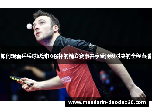 如何观看乒乓球欧洲16强杯的精彩赛事并享受顶级对决的全程直播