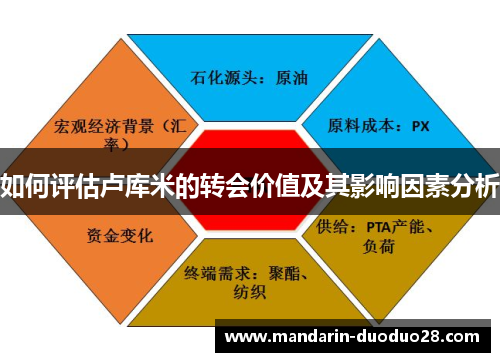 如何评估卢库米的转会价值及其影响因素分析