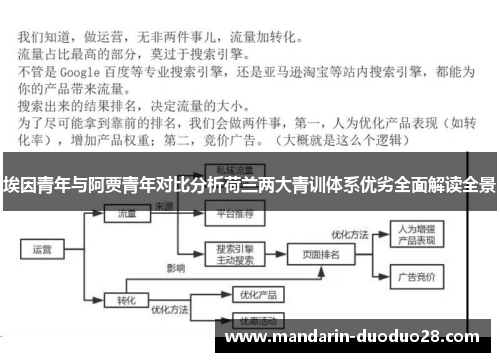 埃因青年与阿贾青年对比分析荷兰两大青训体系优劣全面解读全景