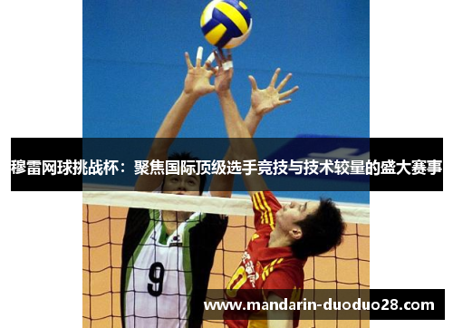 穆雷网球挑战杯：聚焦国际顶级选手竞技与技术较量的盛大赛事