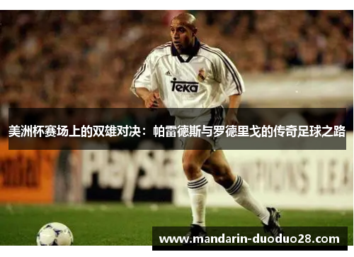 美洲杯赛场上的双雄对决：帕雷德斯与罗德里戈的传奇足球之路