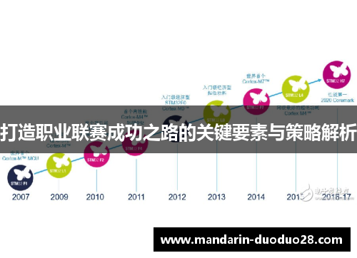 打造职业联赛成功之路的关键要素与策略解析 打造职业联赛成功之路的关键要素与策略解析