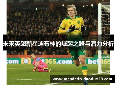 未来英超新星迪布林的崛起之路与潜力分析