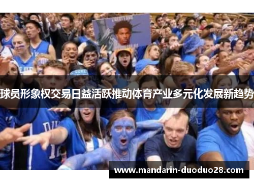 球员形象权交易日益活跃推动体育产业多元化发展新趋势